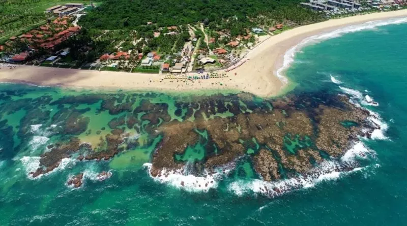 4 praias incríveis para conhecer em Porto de Galinhas