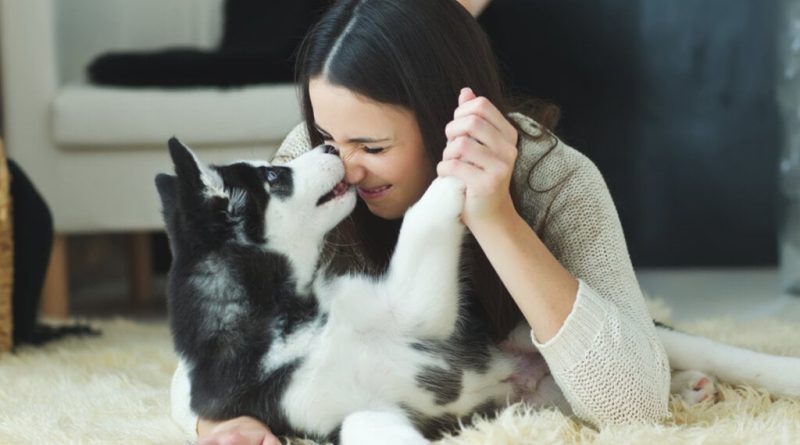 7 semelhanças entre humanos e cachorros 