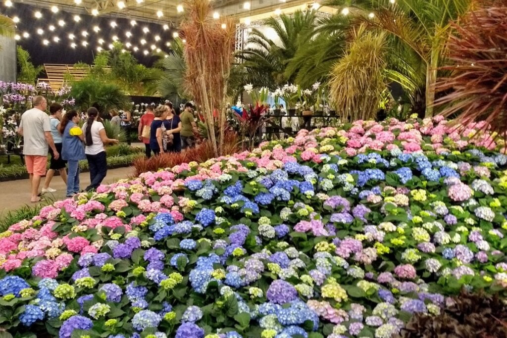 Imagem da Festa das Flores em Joinville