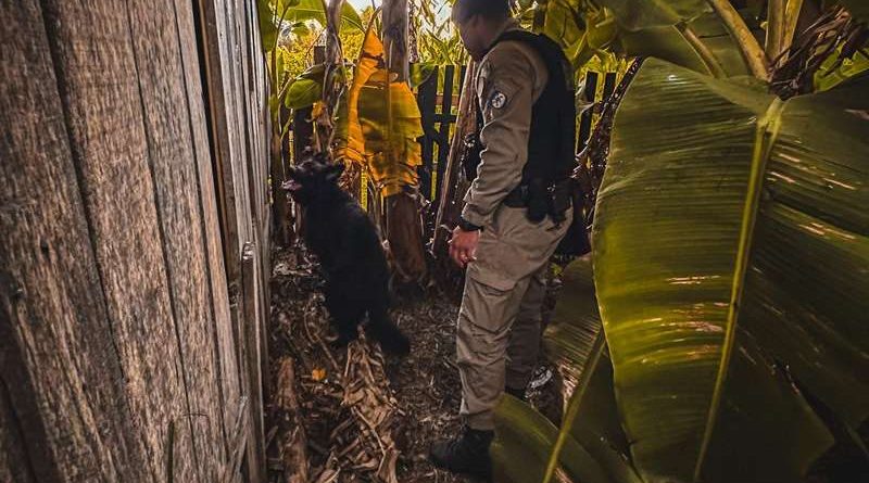 Mulher é presa com arma de calibre restrito em Palmares do Sul