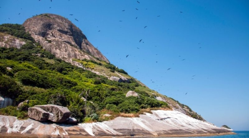 Veja como aproveitar e conhecer São Sebastião