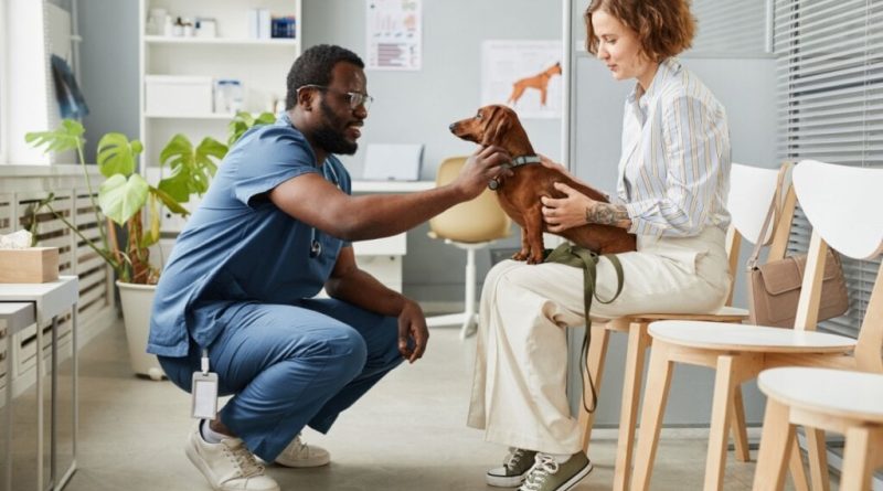 Veja as causas e os sintomas da depressão em cachorros