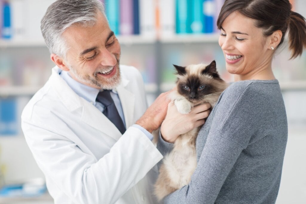 Tutora com gato em consulta no veterinário