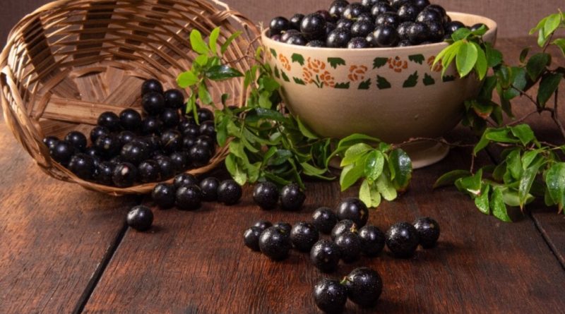 7 benefícios da jabuticaba para a saúde e como usá-la