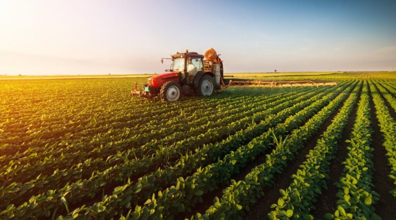 Entenda sobre os diferentes tipos de agricultura