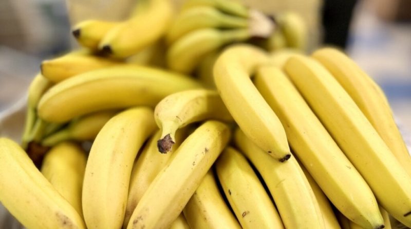 8 frutas típicas do outono para aproveitar os sabores da estação