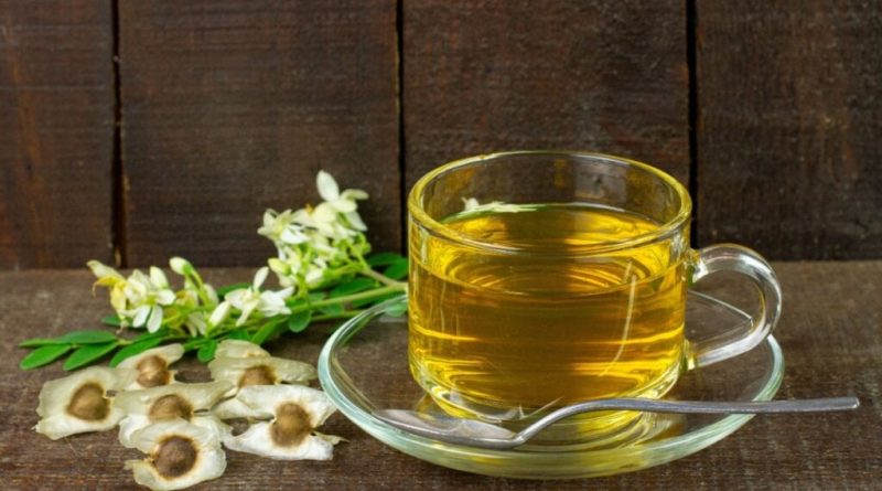 7 benefícios da planta medicinal moringa