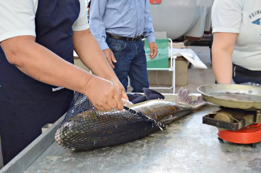 Feira de Páscoa em Osório