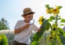 5 dicas para incentivar o contato das crianças com a natureza