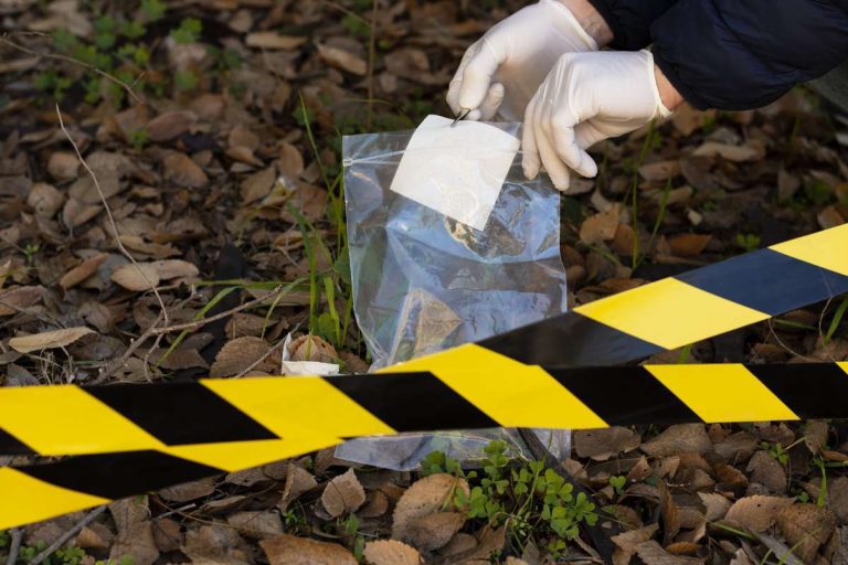 Corpo encontrado em Torres, Ossada humana