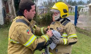 Incêndio em Tramandaí: mulher resgatada em residência em chamas