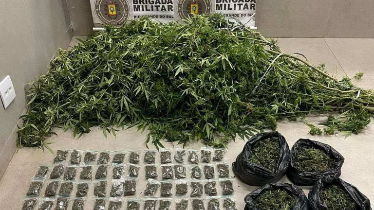 Maconha do tipo camarão é apreendida em Maquiné