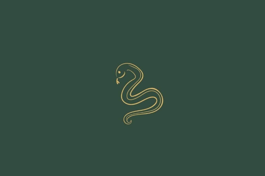 Veja as previsões do Horóscopo Chinês para junho de 2025 60 Ilustração de uma cobra em um fundo verde-escuro
