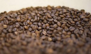 Café contaminado: areia, pedra e pedaços de madeira desclassificam marcas