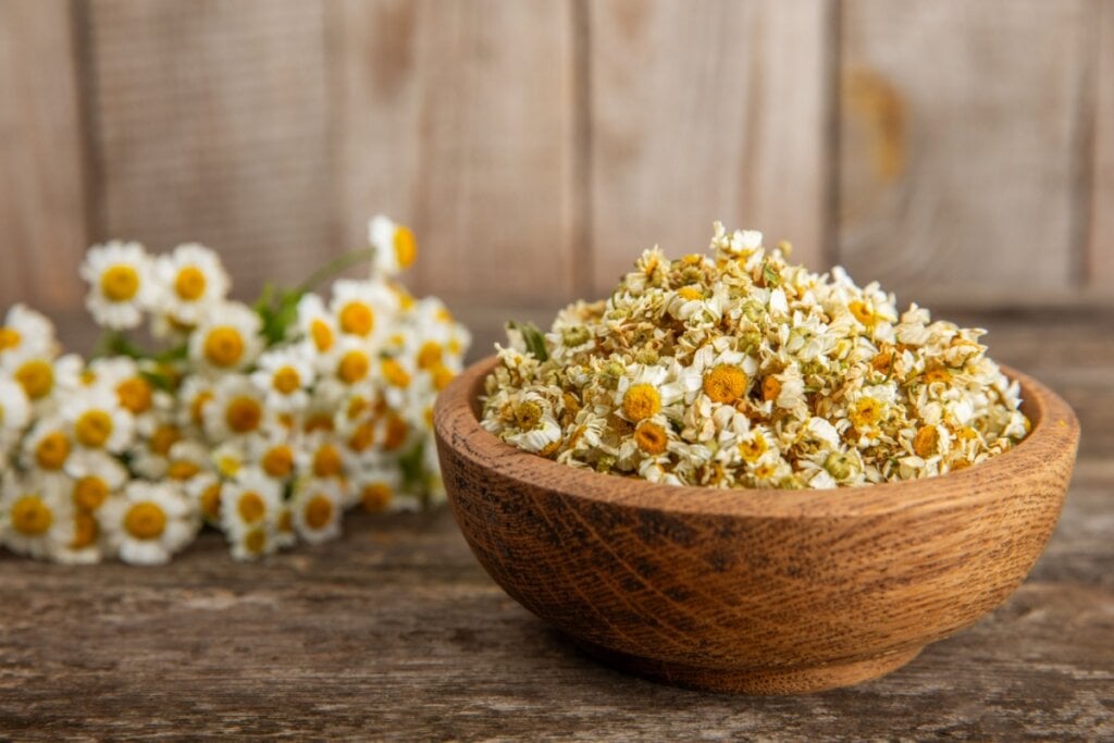6 banhos com ervas para eliminar energias negativas 6 Flores de camomila em pote de madeira e flores de camomila ao lado