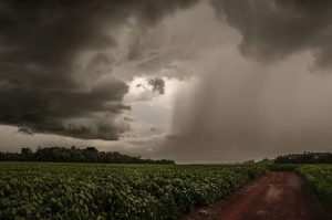 Inmet emite alertas para diversas regiões do RS