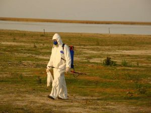 Confirmada gripe aviária de alta patogenicida em granja no RS