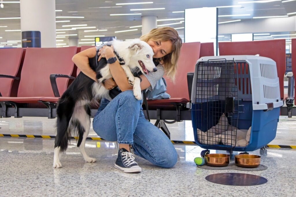 7 tipos de camas para cachorro 18 mulher abaixada no chão e abraçando cachorro branco e preto. ela está em sala de aeroporto com caixa de transporte ao lado