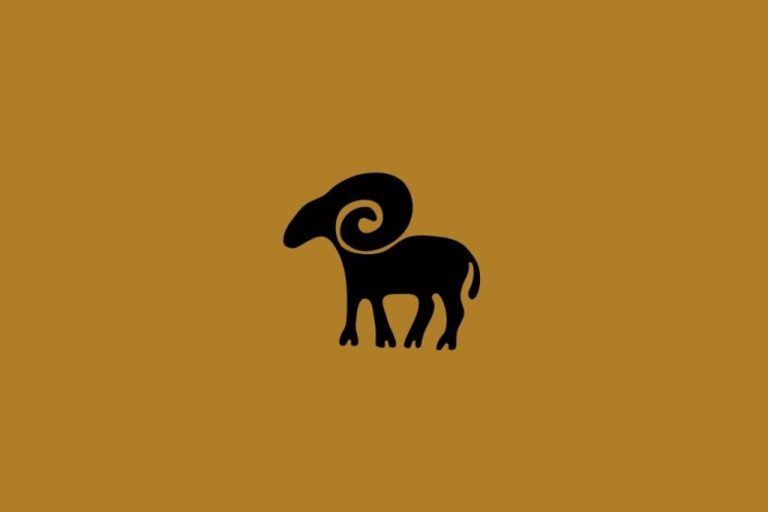 aries-10-1024x683-1